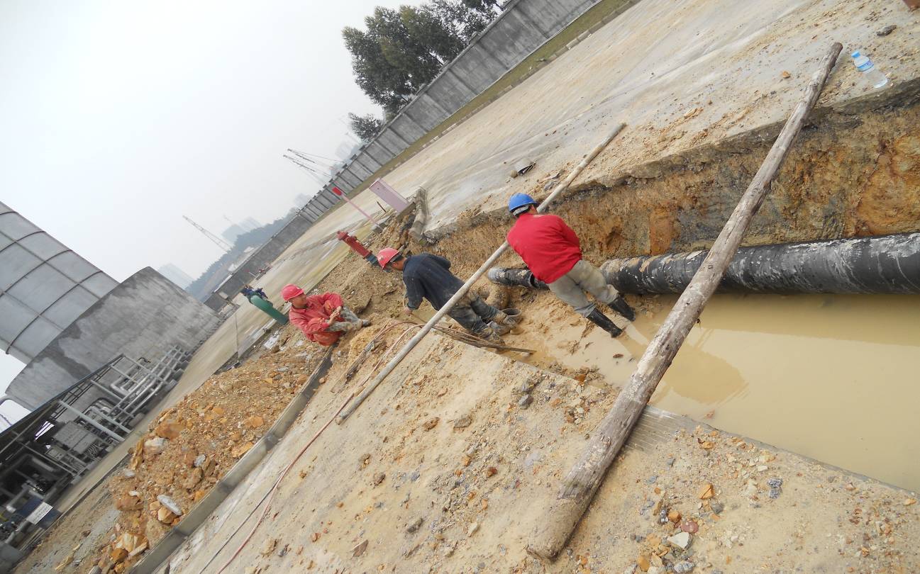 �F�������ܾ�����